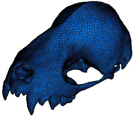 FE model of the skull containing 251,968 tetrahedral elements