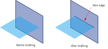 Geometry Tools: Graft Edges to Faces